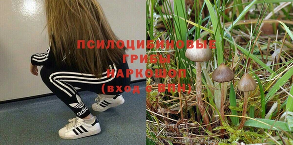 скорость Нижневартовск