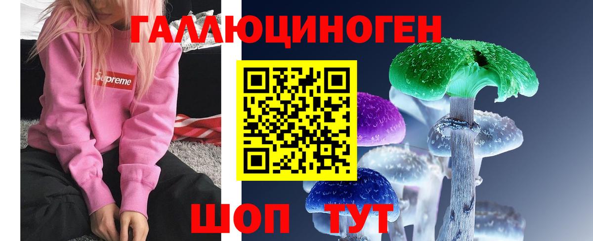 Нижневартовск  Псилоцибиновые грибы Psilocybine cubensis  Вход с VPN 
