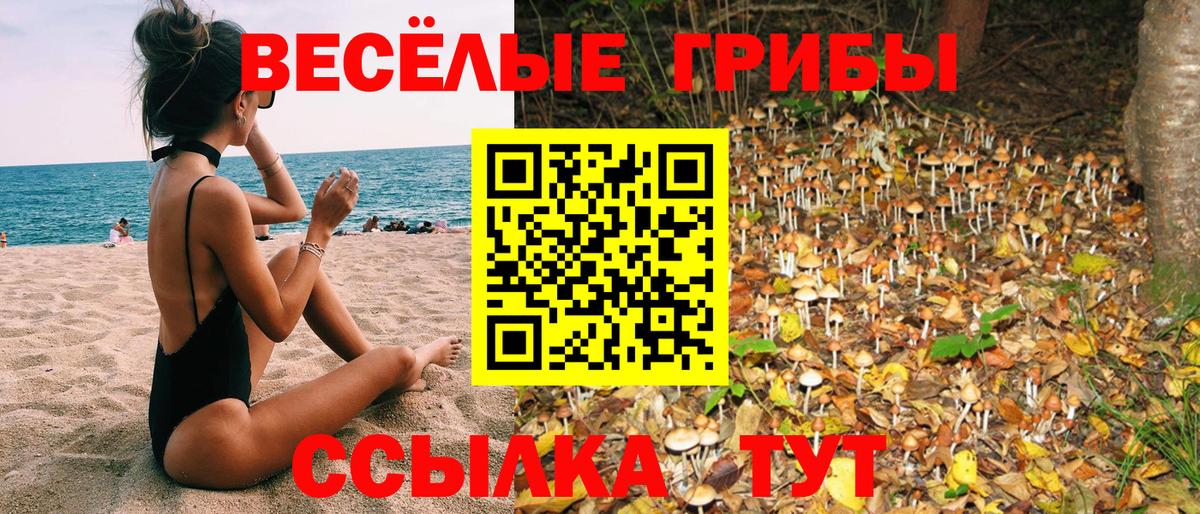 Галлюциногенные грибы прущие грибы Нижневартовск